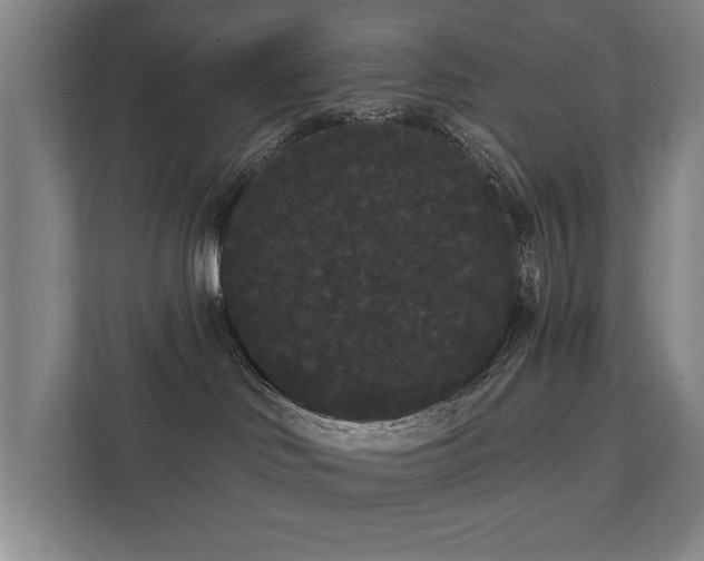 X0000111420046200907201057