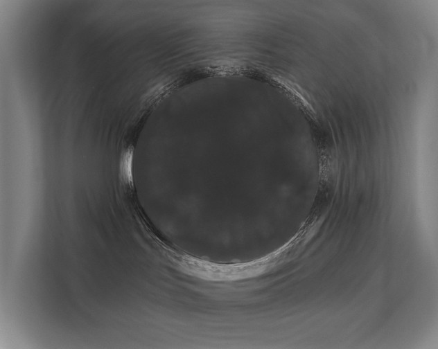 X0000111420047200907201057