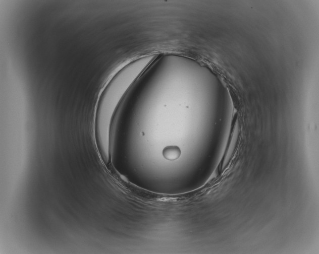 X0000111420052200907201056