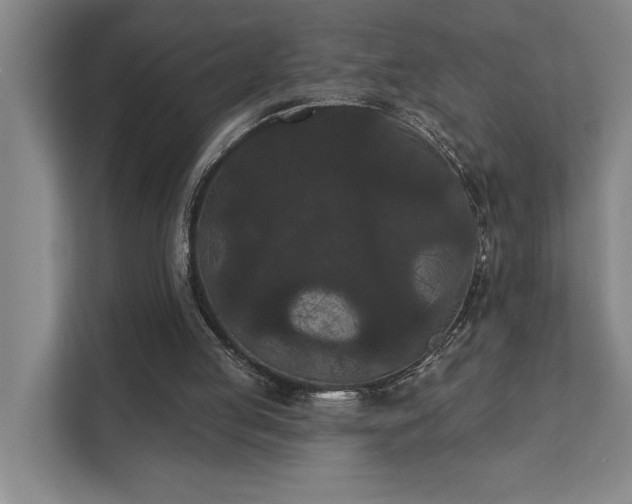 X0000111420053200907201056