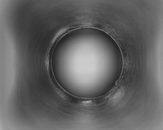 X0000111420054200907201056