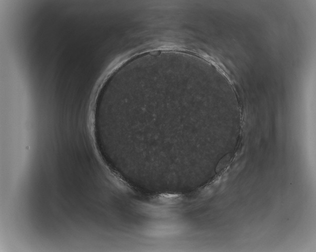 X0000111420055200907201056