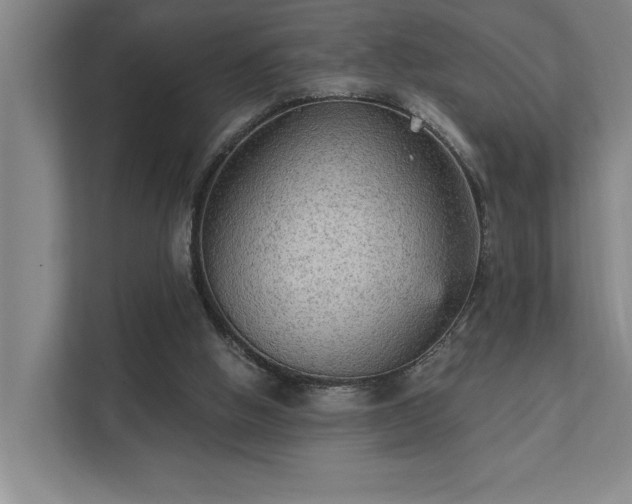 X0000111420058200907201056