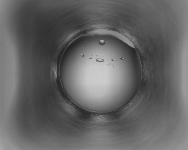 X0000111420062200907201056