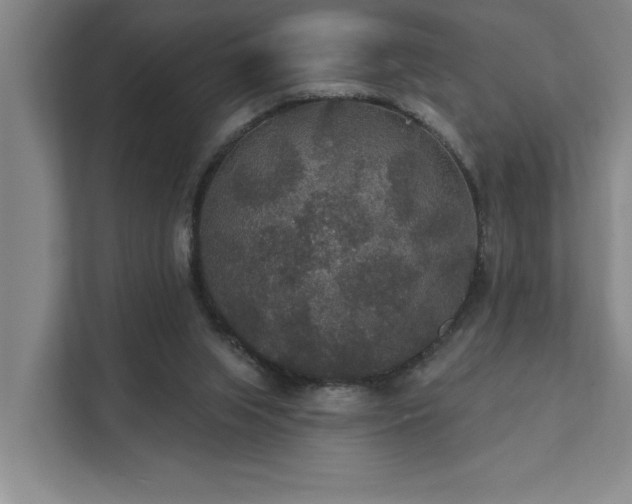 X0000111420063200907201056