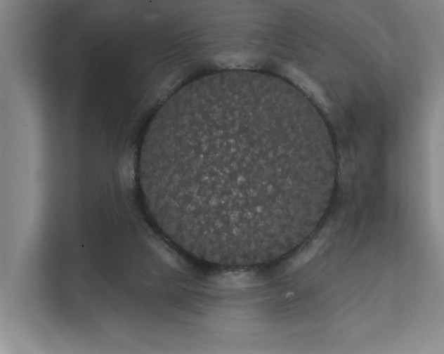 X0000111420065200907201056