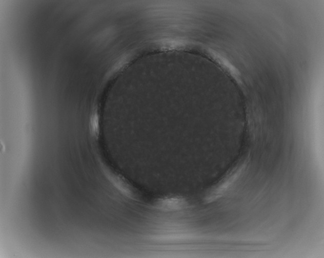 X0000111420067200907201056