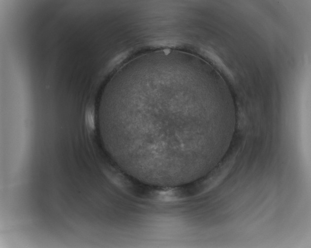 X0000111420068200907201056