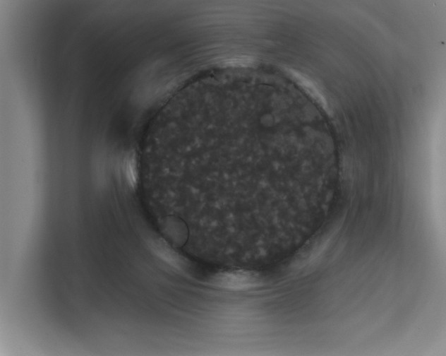 X0000111420069200907201056