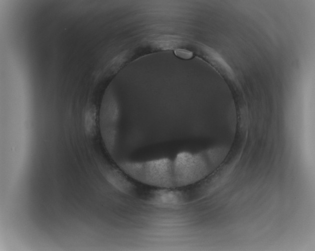 X0000111420073200907201056