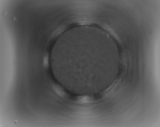 X0000111420074200907201056