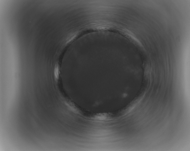 X0000111420076200907201056