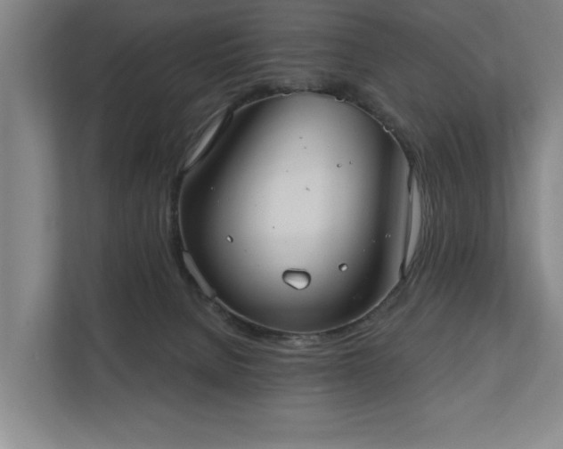 X0000111420080200907201056