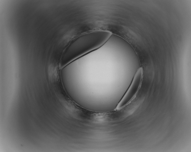 X0000111420088200907201056