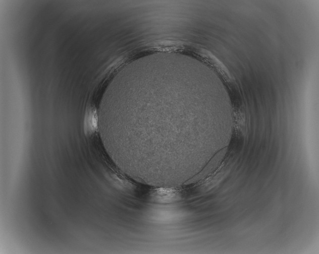 X0000111420095200907201057