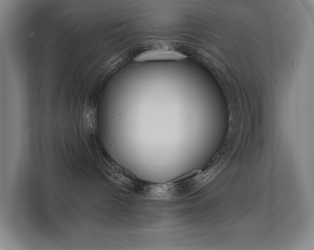 X0000111420096200907201057