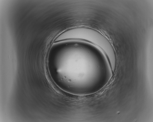 X0000111420097200907201056