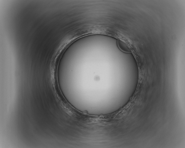 X0000111420098200907201056