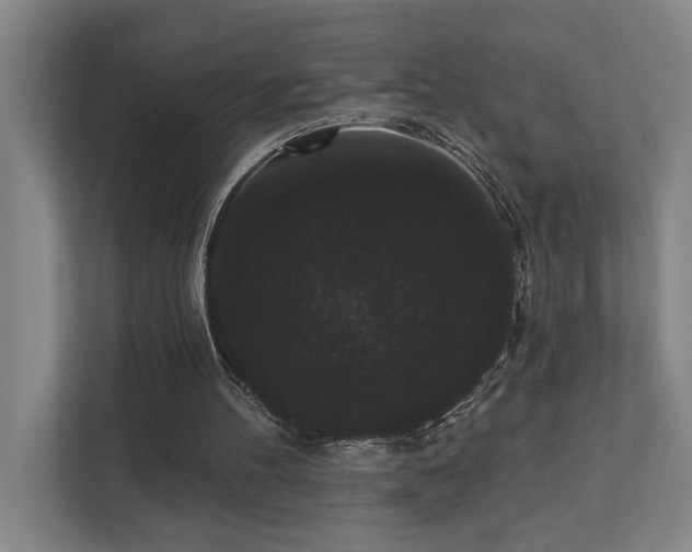 X0000111420100200907201056