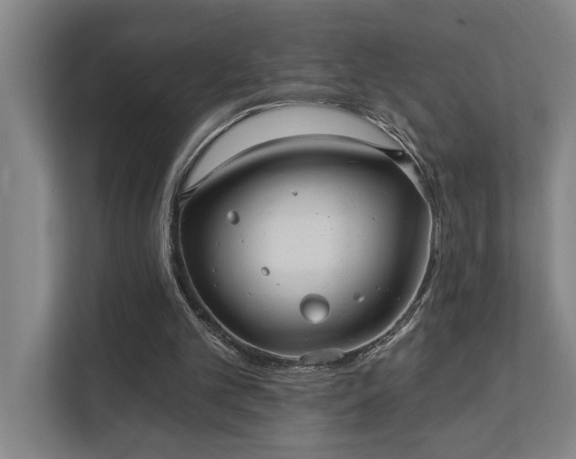 X0000111420101200907201056