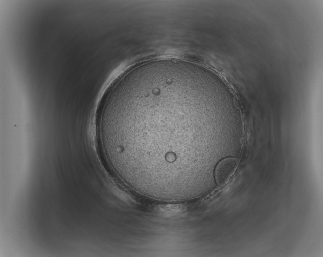 X0000111420102200907201056