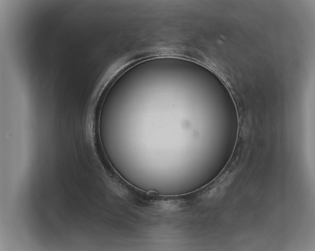 X0000111420103200907201056