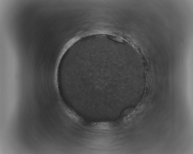 X0000111420104200907201056