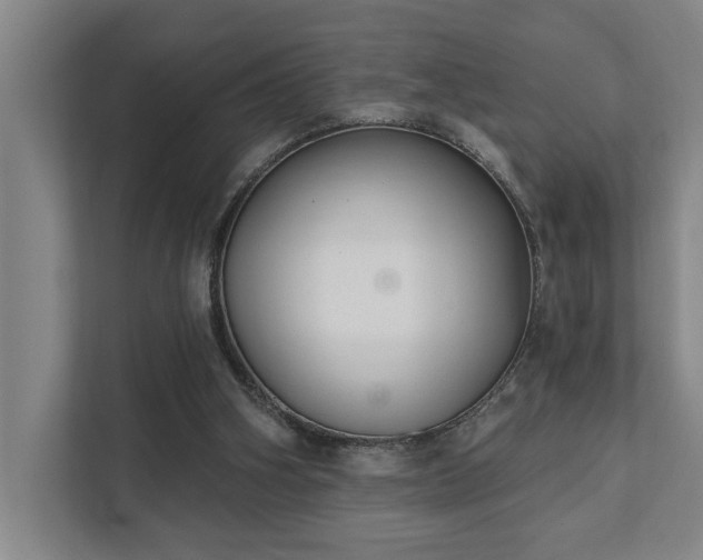 X0000111420106200907201056