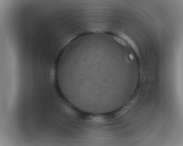 X0000111420113200907201056