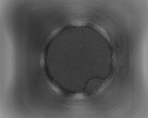 X0000111420114200907201056