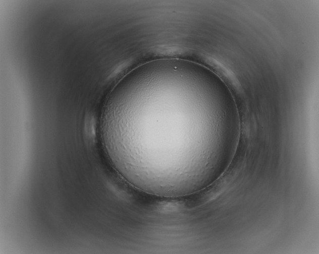 X0000111420115200907201056