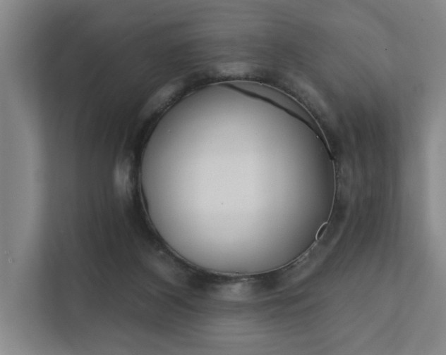 X0000111420116200907201056