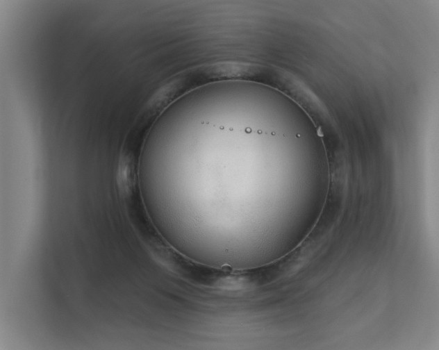 X0000111420119200907201056