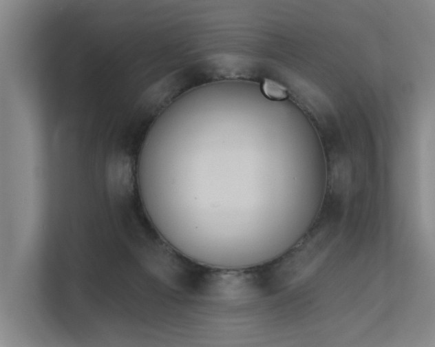 X0000111420121200907201056