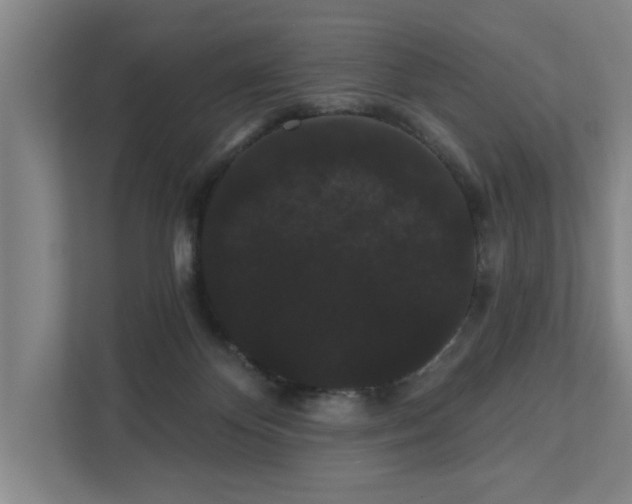 X0000111420124200907201056