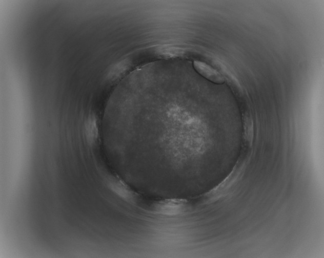 X0000111420128200907201056