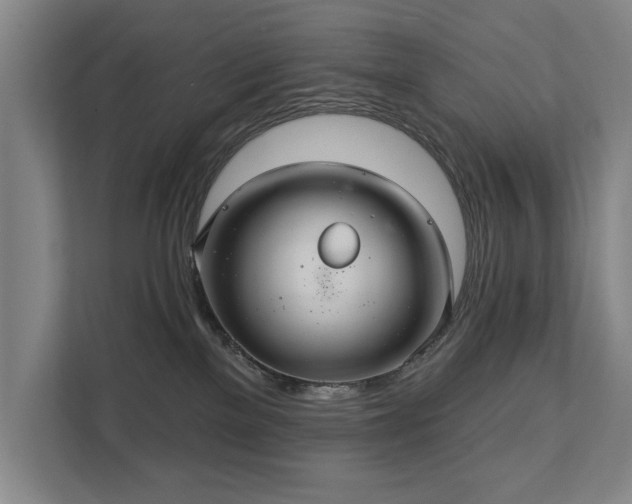 X0000111420137200907201055