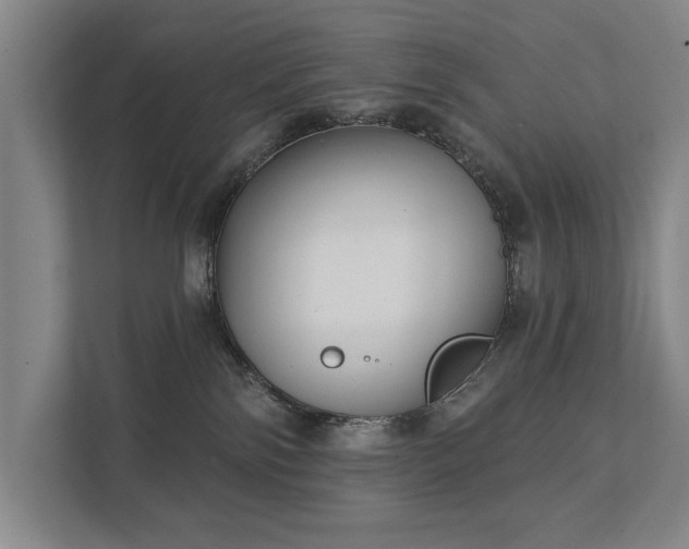 X0000111420138200907201055