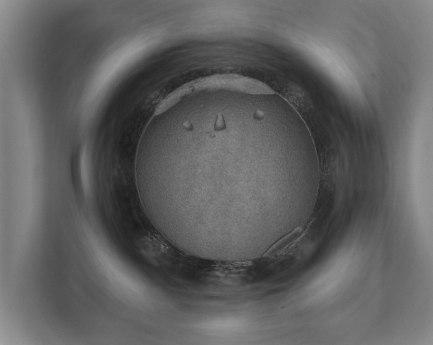 X0000111420140200907201055