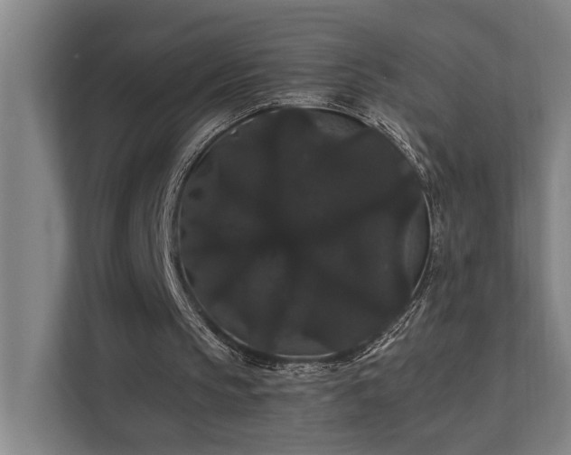 X0000111420145200907201055