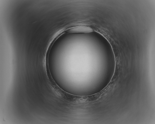 X0000111420148200907201055