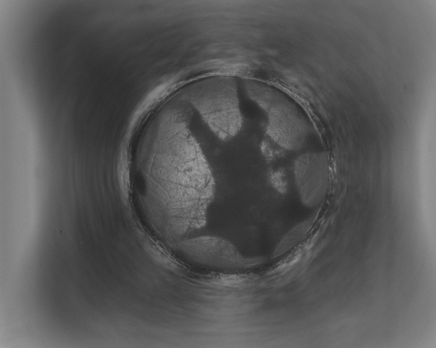 X0000111420149200907201055