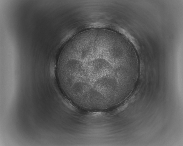 X0000111420153200907201055