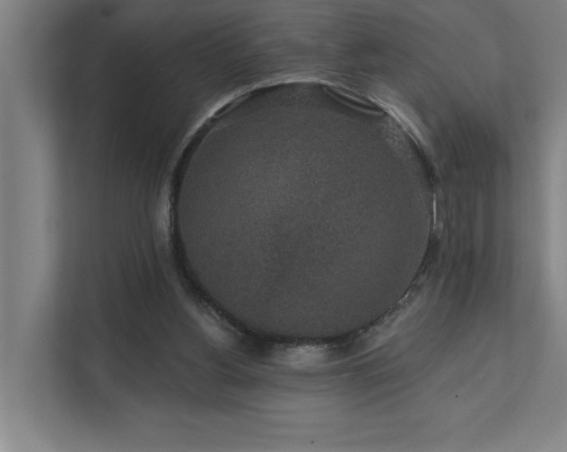 X0000111420156200907201055