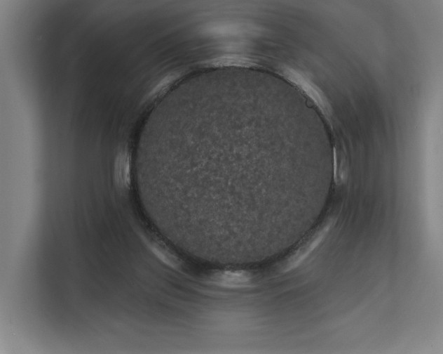 X0000111420157200907201055