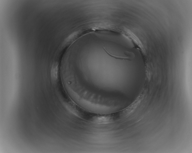 X0000111420163200907201055