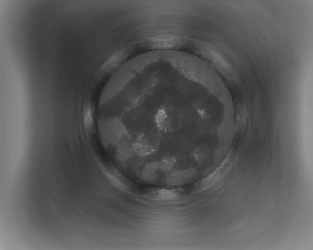 X0000111420166200907201055