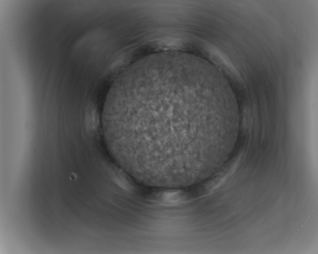 X0000111420173200907201055