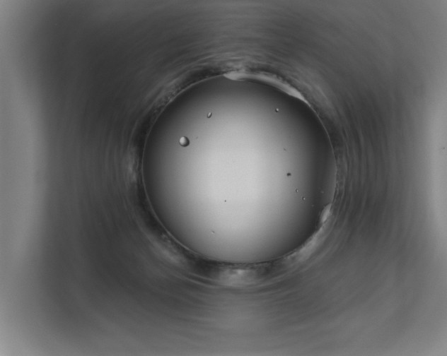 X0000111420174200907201055