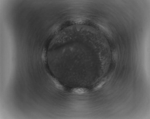 X0000111420181200907201055